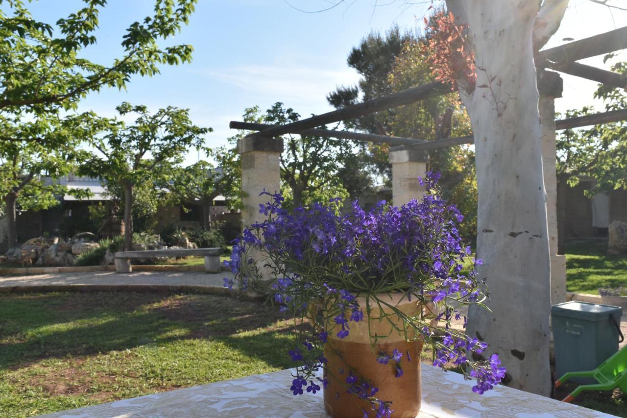 Tenuta Nonno Carmine Porto Cesareo Kültér fotó