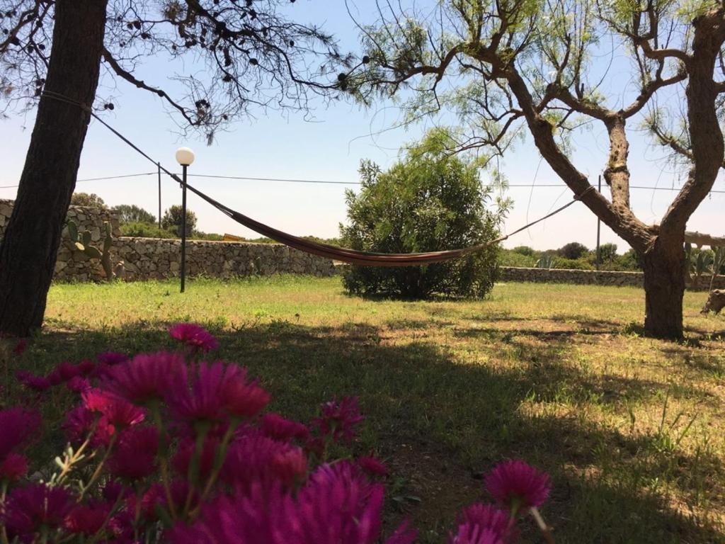Tenuta Nonno Carmine Porto Cesareo Kültér fotó
