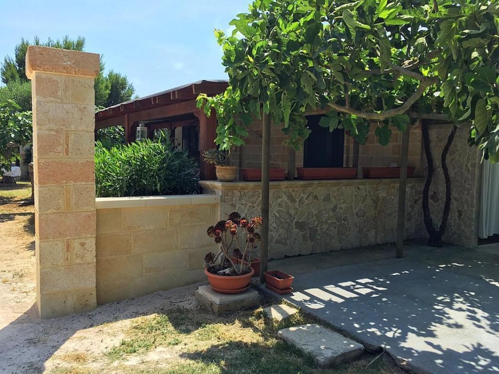 Tenuta Nonno Carmine Porto Cesareo Kültér fotó